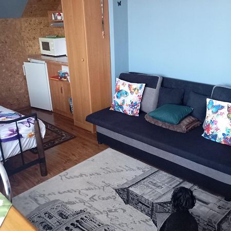 Pokoje Goscinne Surfinia Gdańsk Exterior foto
